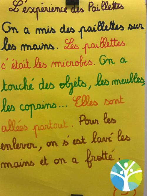 Nos expériences autour des microbes : MSGS A